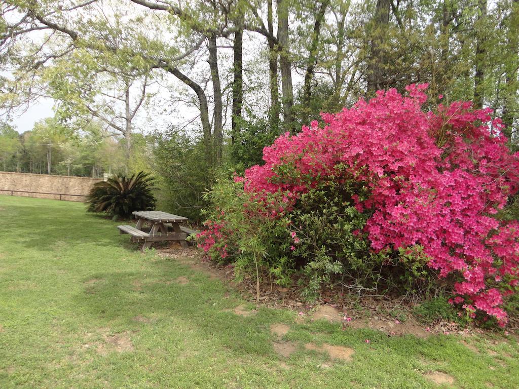 Garden Inn And Suites Silsbee Экстерьер фото